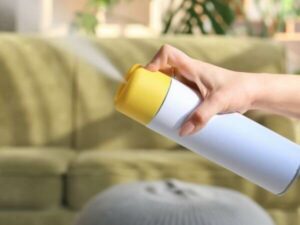 una persona spruzza all'interno di un appartamento un deodorante spray per ambienti