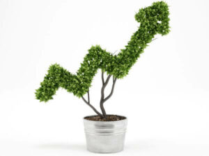 immagine di una pianta che simboleggia i vantaggi per l'azienda