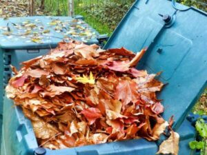 foglie secche all'interno di un bidone per il compostaggio fai da te