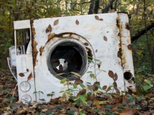 lavatrice arrugginita abbandonata in un bosco